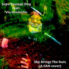 She Brings The Rain (a CAN cover wizz Vid)