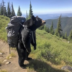 pompadour fauxhawk demo