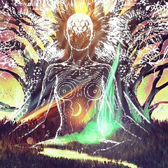 One light, many paths