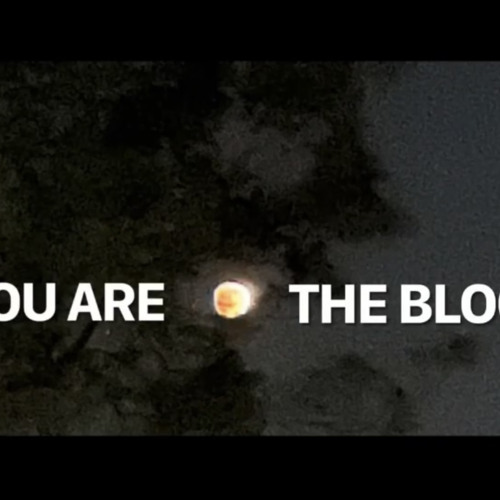 Stream You Are The Blood by Julia Hudak Listen online for free on