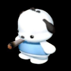 PORRO!!!!!!!!!