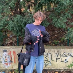 $uicidecrunchip$ - Arizona reupload