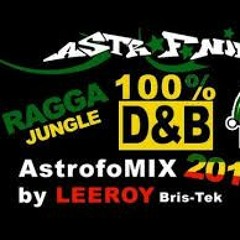 Leeroy (Bris-Tek) - Ragga Jungle/DnB - Official AstroFoMix (Aug 2013)