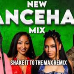 Shake It To Di Max Mix