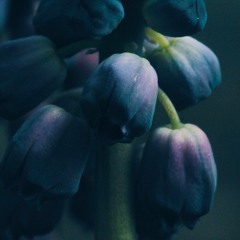 Broken Beauty