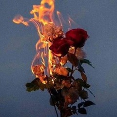 serenity :'(+vagabond)