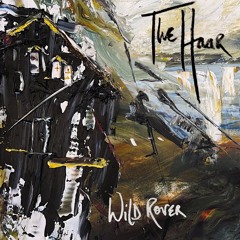 04 - The Haar - Wild Rover