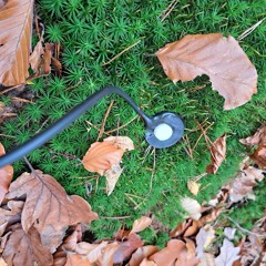 Inside and underneath: hidden sounds