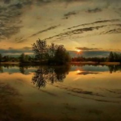 Alexis Olguin - CUARENTENA DIA 9039