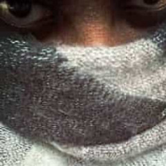 seafood         [fern shy]