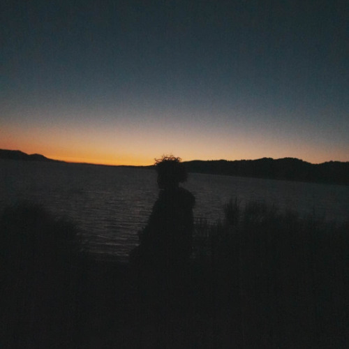 Nights Still Young