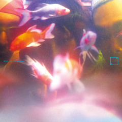 A2. SY3 - Tell Me