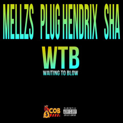 MeLLzS x Plug Hendrix x SHA - WTB (Waiting To Blow)
