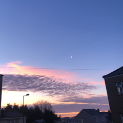 SHAKS - SUNSET