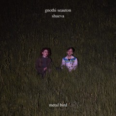 Gnothi Seauton - Metal Bird (ft. Shueva)
