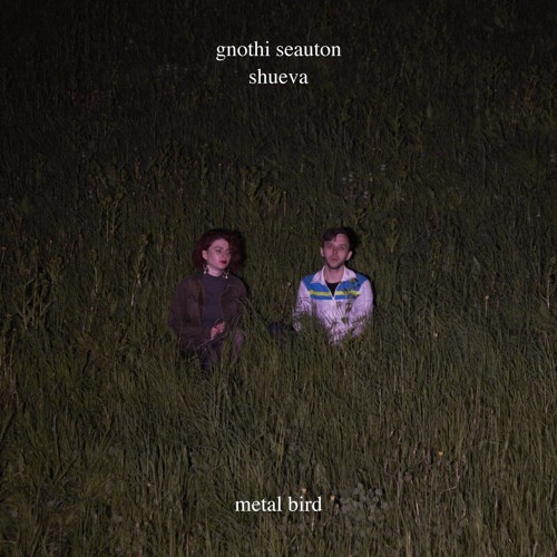 Gnothi Seauton - Metal Bird (ft. Shueva)