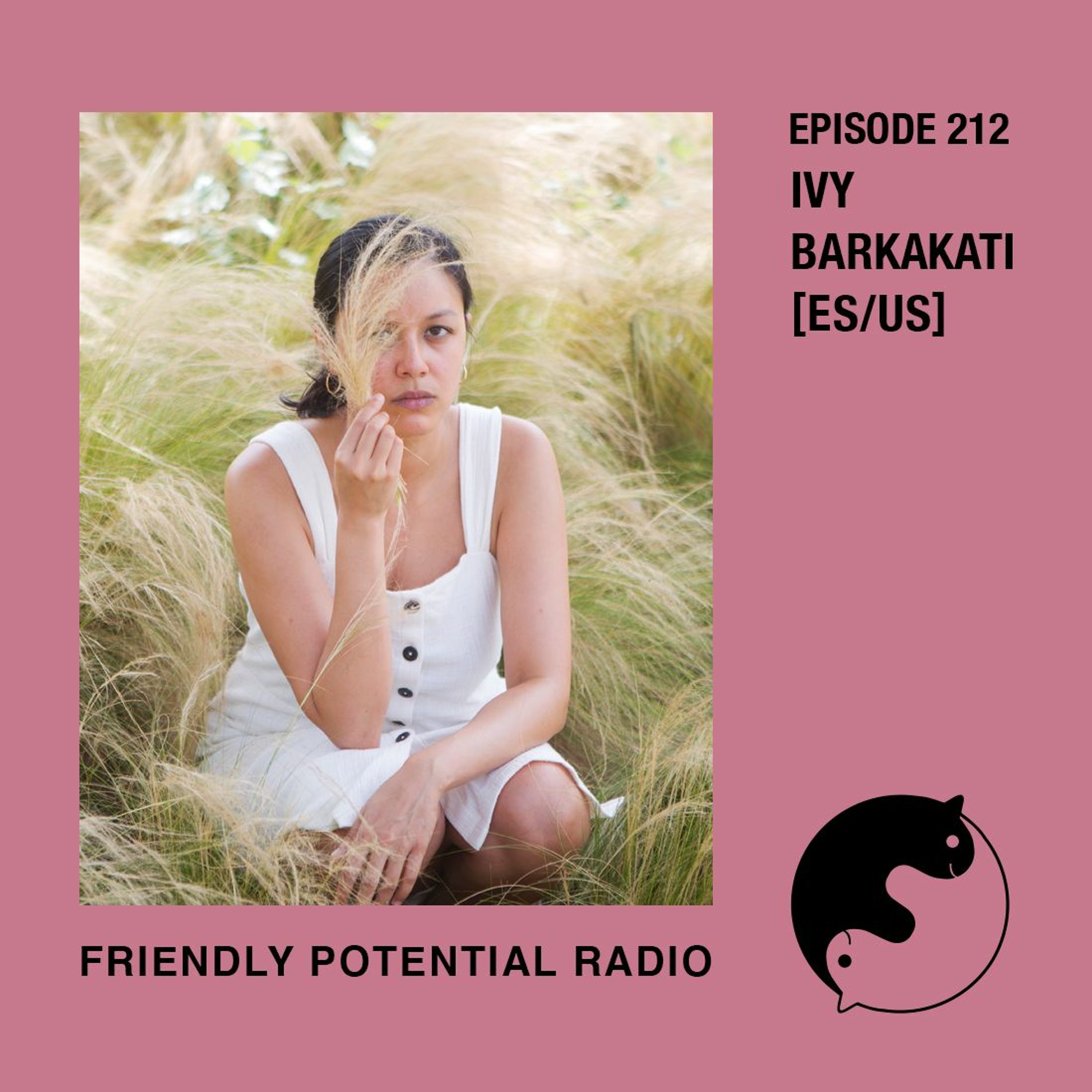Friendly Potential Radio