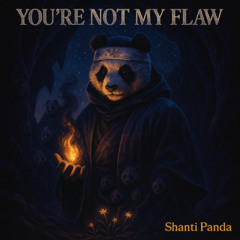 You’re Not My Flaw