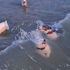 rigatoni session 2 140bpm @whereisreeef