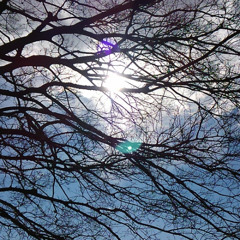 Curve of the air