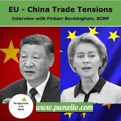 EU-China Trade Tensions - Interview with Finbarr Bermingham