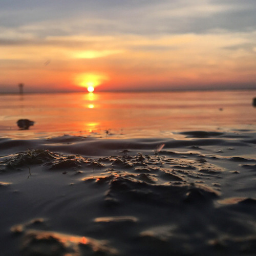 Stream No Use For A Name Dumb Reminders Cover By Ian Listen Online For Free On Soundcloud