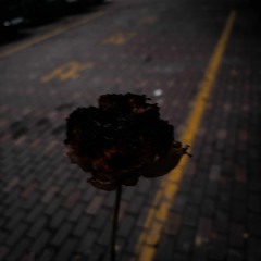 MistAche W.김단