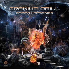 Cranium Drill - The Drum Has Gone Mad  180