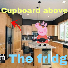 cupboard above the fridge (feat. electricity)