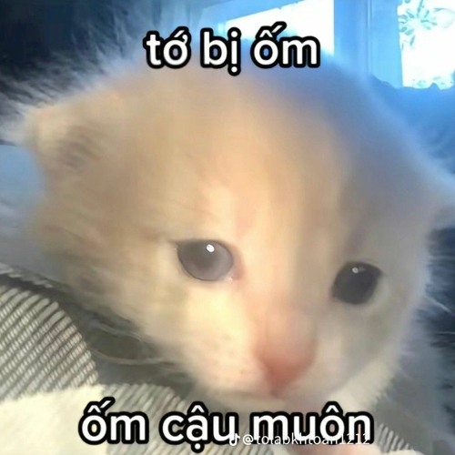 Ngày Em Đẹp Nhất - Hoàng Minh Ft TNT Final.mp3