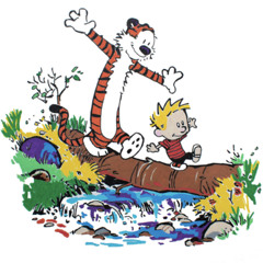 Calvin And His Imaginary Friend, Hobbes