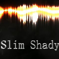 Slim Shady and you