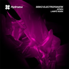 PREMIERE: Sisko Electrofanatik - Long Signal Form (Original Mix) [Hydrozoa]