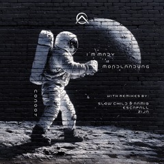[Premiere] I'm Mady - Bassgeflüster [The Art of Downtempo]
