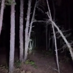 Dark Road