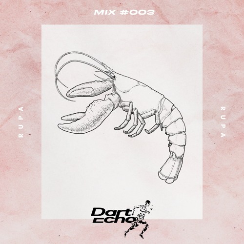 Dart Echo Mix #003 - RUPA