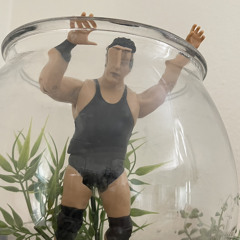 Why don’t you do it?