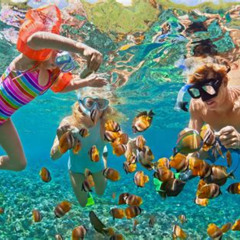 Best Snorkeling In Turks And Caicos Prices Reviews