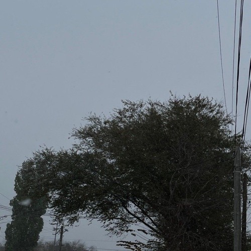 eternal winter x fight club