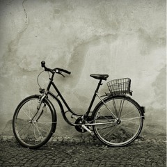 A Bike's Life