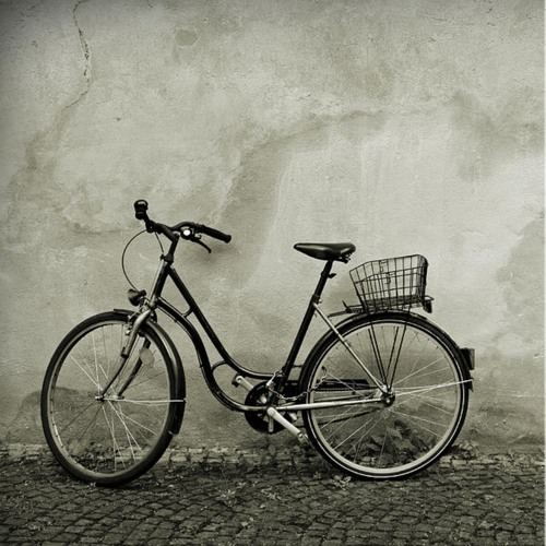A Bike's Life