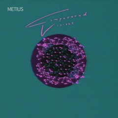 Metius - First Vision
