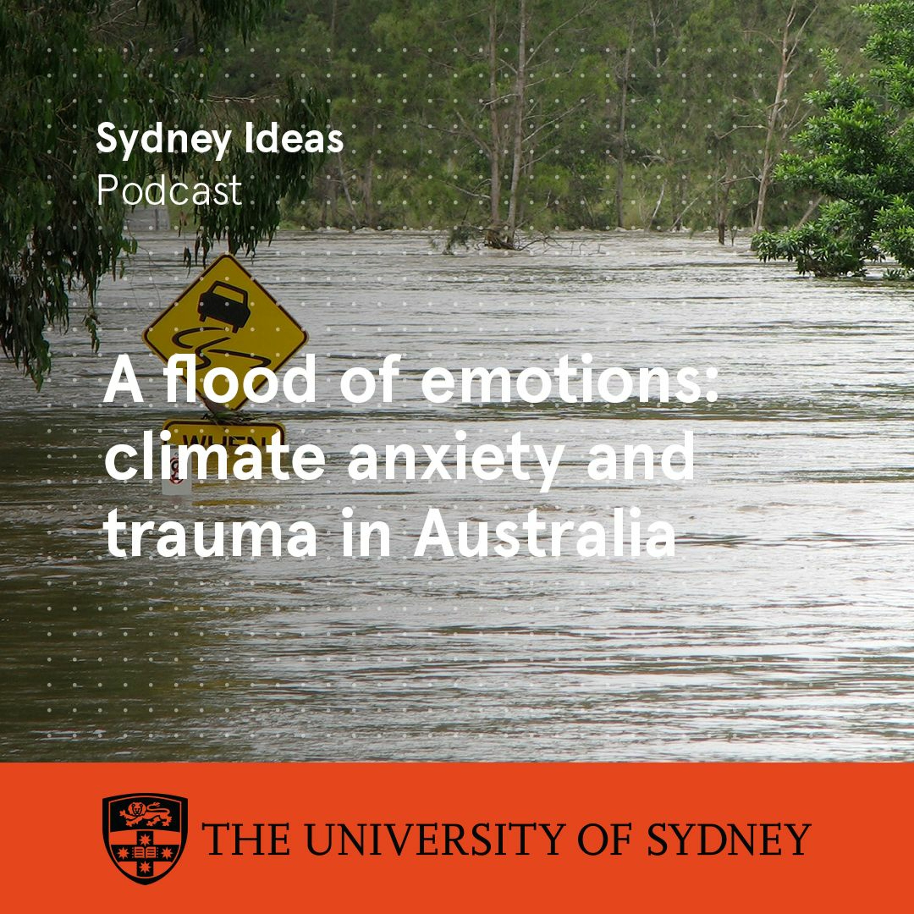 cover of episode A flood of emotions