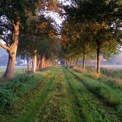 Pathways