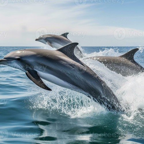 Artwork for Ocean Dance by Robert Grigg