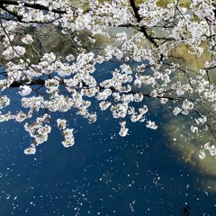 花散る頃に／チョコレートパフェ
