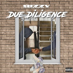 Bizzy - Due Diligence