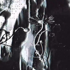 Deuce - Shorty Wanna Slide