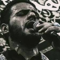 يا ضامن مدد الملا محمد باقر الخاقاني - هيئة مجانين الحسين عليه السلام