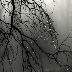 Dew On Trees (demo)